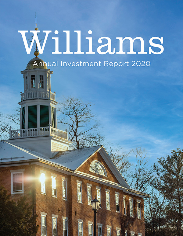 2020 investment report cover